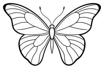 black and white butterfly