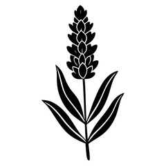 Lavender silhouette vector illustration.