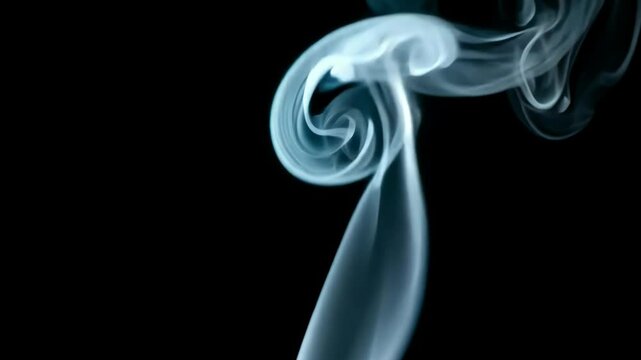 A soft elegant swirl of smoke rises gracefully against a black background, capturing a moment of fluidity and abstract beauty in its ephemeral form.