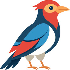 illustration of bird