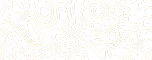 Modern Topographic Vector Design with Wavy Geometric Contours and Terrain Relief for Luxury Landscapes
