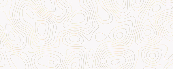 Abstract Vector Topography Background with Geometric Line Art and Wavy Contour Patterns for Modern Maps
