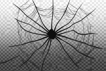 Fototapeta premium Spider web black with transparent background 