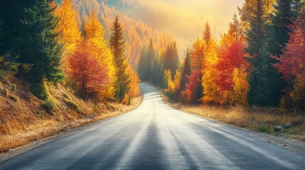 Obraz premium A winding paved road through a forest with autumn leaves in vibrant colors, sunlight shining through the trees.
