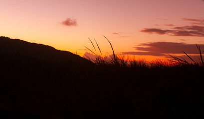 coucher de soleil et ombre de la nature à Moorea en Polynésie 