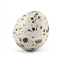 Isolated Quail Egg on White Background in Full Depth of Field