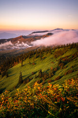This attached photo shows the view from a mountain peak reached by car early in the morning, with...