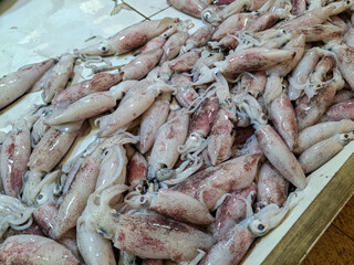 piles of fresh, small-sized raw squid for sale at traditional markets