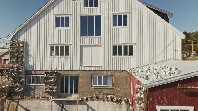 Tind Lofoten islands Norway Aerial drone view