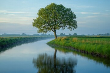 Obraz premium Lone tree reflection in calm river at peaceful countryside during early morning