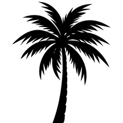 palm tree silhouette