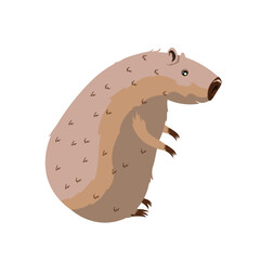 Cute Capybara Funny capybara charming exotic animal