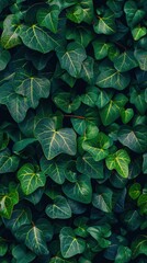 Fototapeta premium Abstract composition of small leaves forming a natural wall, rich green tones with soft light, ideal for fresh and lively backgrounds.