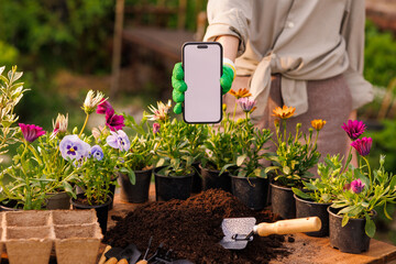gardener using mobile app in phone for proper planting of flower plants in garden, gardening concept