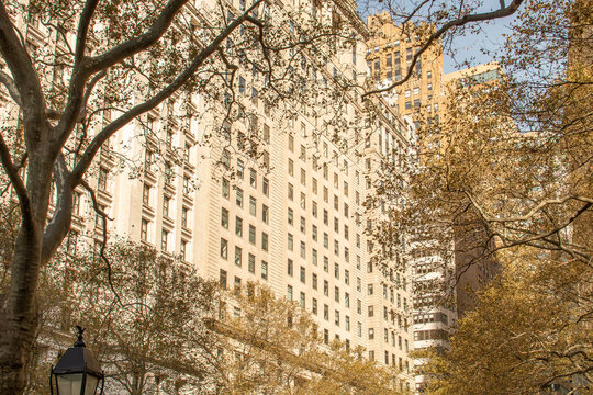 Paisaje urbano con las fachadas de antiguos rascacielos entre las ramas de &aacute;rboles con hojas oto&ntilde;ales. Fachadas de los rascacielos entre el 7 y 11 de Broadway al sur de Manhattan, New York, USA. 