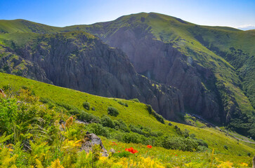 red poppies and blooming flowers on subalpine meadows of Mount Arailer (Aragatsotn province, Armenia)