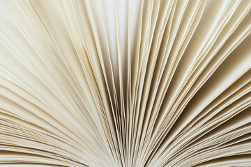 Close-Up of Open Book Pages Side View