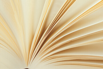 Close-Up of Open Book Pages Side View