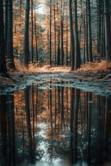 Obraz premium Forest Edge with Water