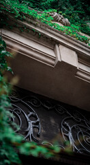 Architecture Embraced by Nature: Ivy-covered Facade