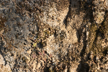 Natural weather effect brown rock texture with cracks, Close-up of Rough mountain surface background for design,backdrop