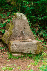 Fountain in the forest