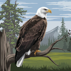eagle vector design
