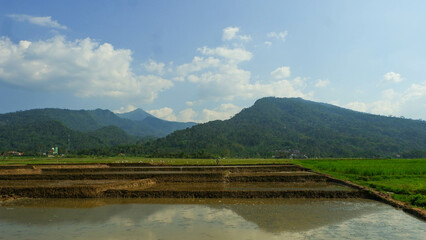 Obraz premium beautiful mountains with nice clouds around the rice fields