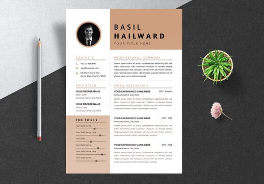 Modern Resume Template Layout