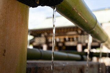 water drops from bamboo