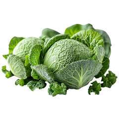 Obraz premium Two Fresh Green Cabbages Isolated On White Background