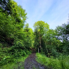 Górska ścieżka  © Kamiloss