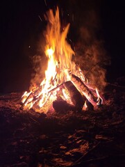 Ognisko biwakowe © Kamiloss