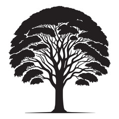 Obraz premium Elm Tree Vector illustration in black and white - Elm Plant Silhouette Design