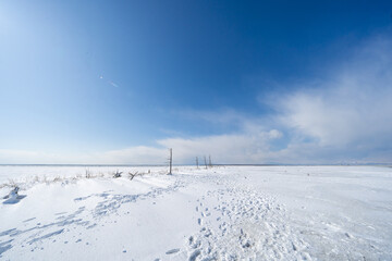 Obraz premium Todowara,Notsuke peninsula in Hokkaido Japan