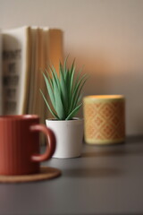 Focus on a fake plant with espresso mug, a candle and a book at home.