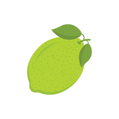 Lime fruit icon in flat style. Organic fruits vector illustration on isolated background. Vitamin C food sign business concept.