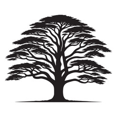 Cedar Tree Vector illustration in black and white - Cedar Plant Silhouette Design
