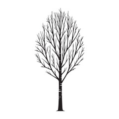 Fototapeta premium Birch Tree Vector illustration in black and white - Birch Plant Silhouette Design