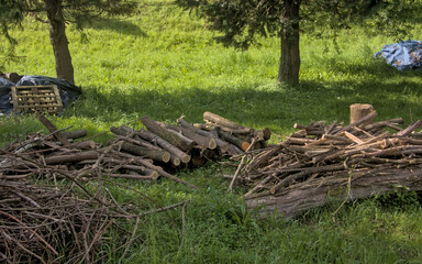 firewood for the winter