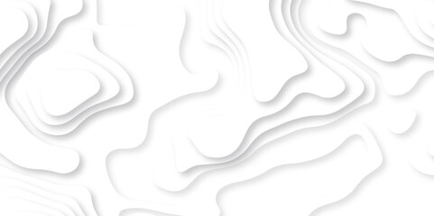 	
Abstract white paper cut background with lines. Background of the topographic map. White wave paper curved reliefs abstract background. Realistic papercut decoration textured with wavy layers.