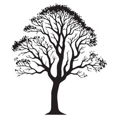 Obraz premium Ash Tree Vector illustration in black and white - Ash Plant Silhouette Design