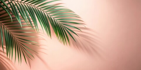 Shadow of tropical flower on smooth peach colored wall