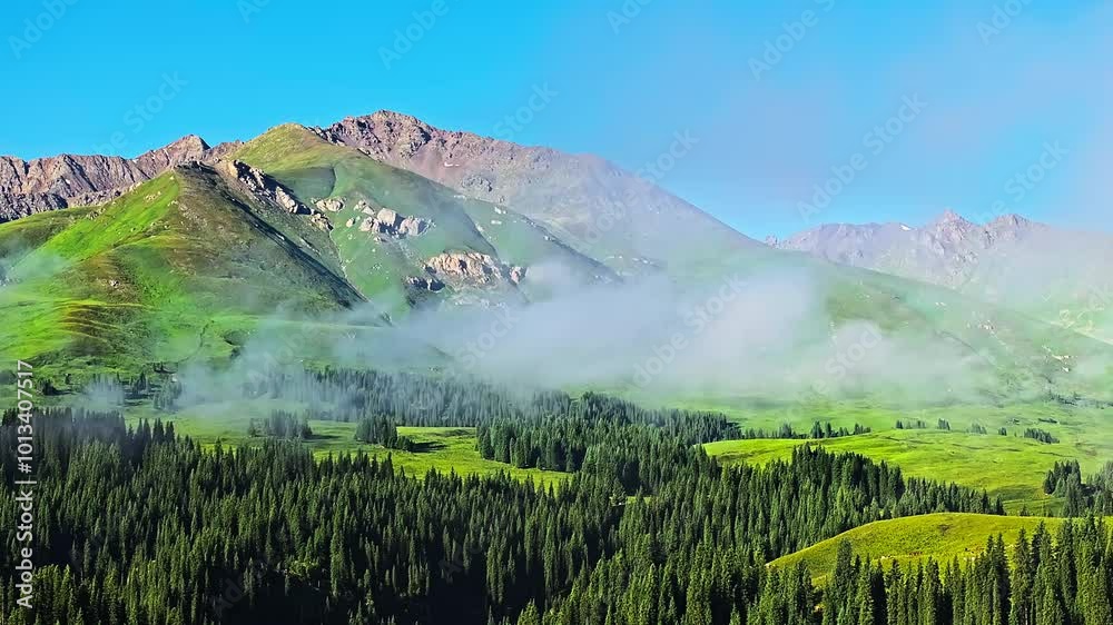 Sticker green meadow and forest with mountain natural landscape in summer. beautiful mountain range scenery 