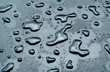 Close up view of water droplets on dark background.