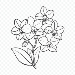 Floral Bunch Featuring Detailed Orchid Line Art Vector Illustration in Elegant Botanical Style