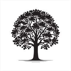 Oak Tree Vector illustration in black and white - Oak Plant Silhouette Design
