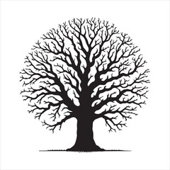 Obraz premium Oak Tree Vector illustration in black and white - Oak Plant Silhouette Design 