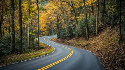 Obraz premium Winding Road Through Autumn Forest