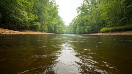 Serene River Landscape Amidst Lush Greenery: A Tranquil Nature Escape
